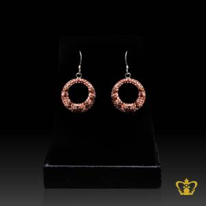 Round-silver-animal-print-earring-inlaid-with-brown-crystal-stone-gorgeous-gift-for-her