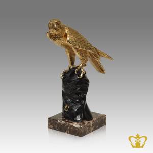 ANG-FALCON-ON-GLOVE-FALCON-GOLDEN-12IN-