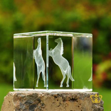 BLG-CUBE-60X60MM-HORSE-3D-LASER