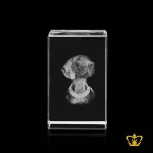 BLG-CUBE-50X50X80-3D-DOG
