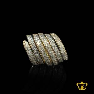 NBL-X-CLASSIC-SPRING-RING-GOLDEN-7