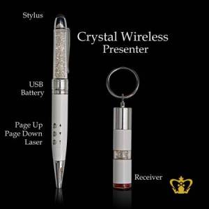 Laser-pointer-slide-controller-and-8-GB-flash-drive-plus-a-stylus-gift-for-him-fathers-day