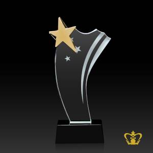 PYC-METAL-STAR-TROPHY-9X5IN-GOLD-AND-CLEAR