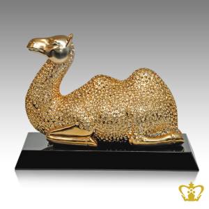 HHC-RESIN-SITTING-CAMEL9IN-GOLDEN-W-BLACK-BASE
