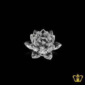SJT-LOTUS-REPLICA-9CM-CLEAR