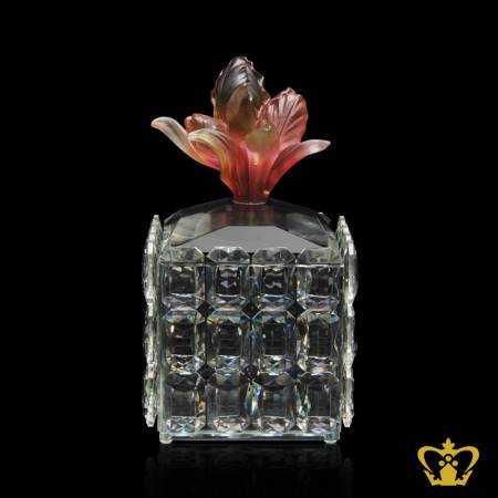 SSV-TULIP-CANDY-JAR-16CM-RED-GREEN-350ML