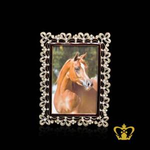 Horse-picture-color-printed-on-decorative-photo-frame